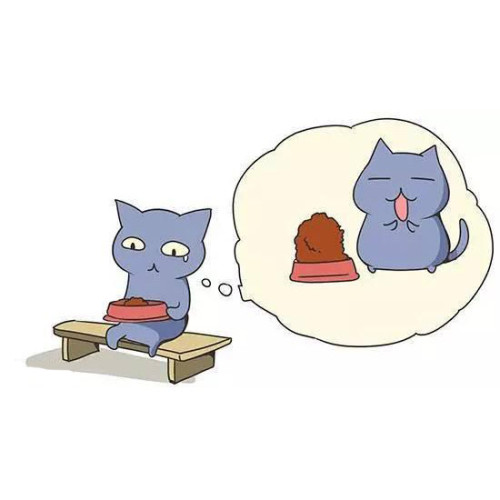 健康增肥